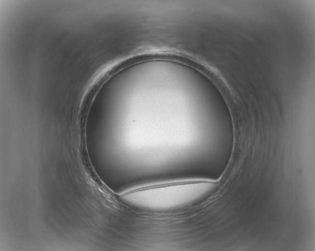 X0000080151319200612081042