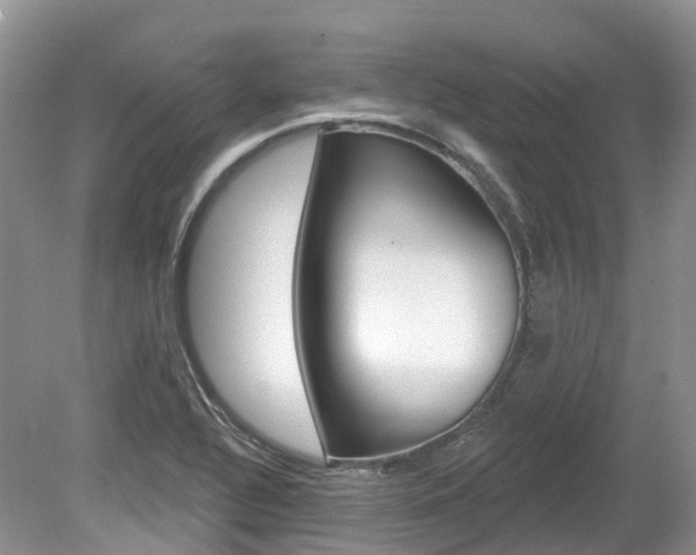 X0000080151320200612081042