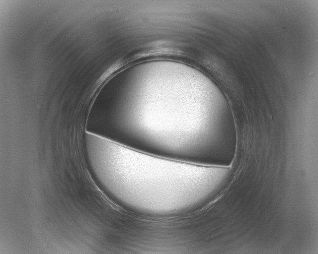 X0000080151321200612081042
