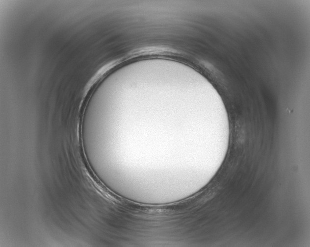 X0000080151322200612081042