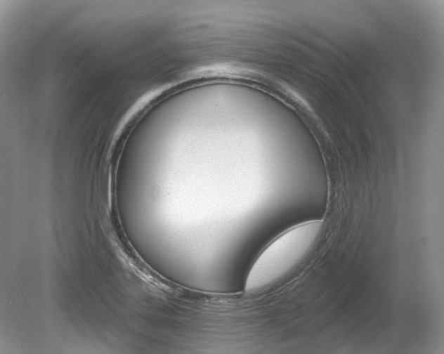 X0000080151323200612081042