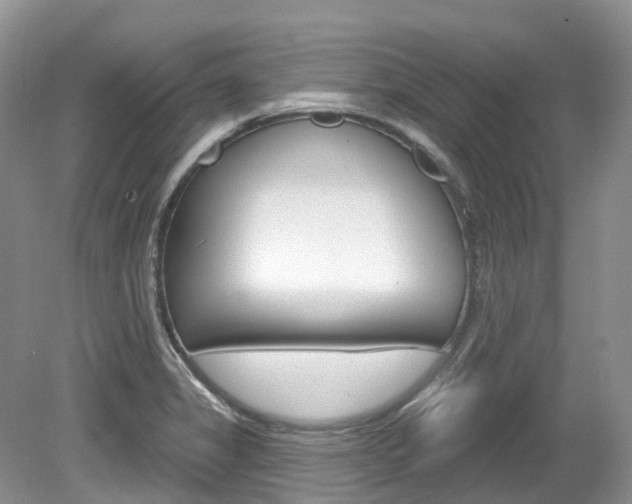 X0000080151325200612081042