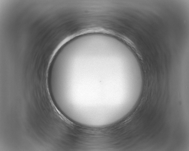 X0000080151326200612081042