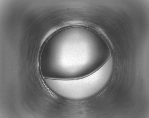 X0000080151328200612081042