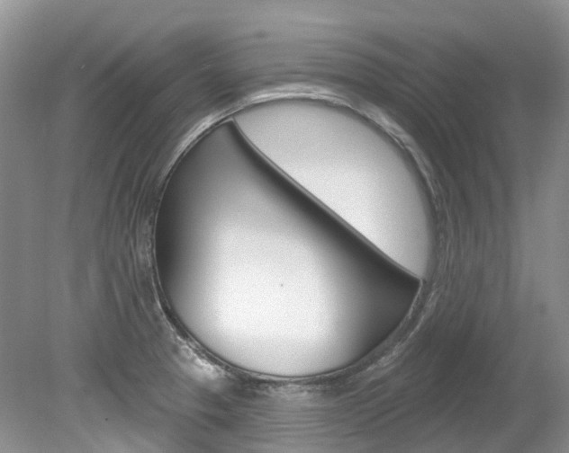 X0000080151329200612081042
