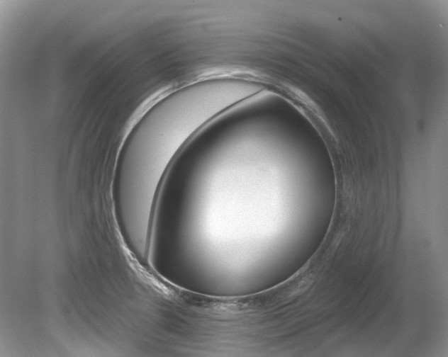 X0000080151330200612081042