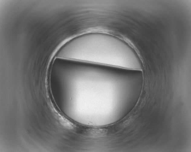 X0000080151331200612081042