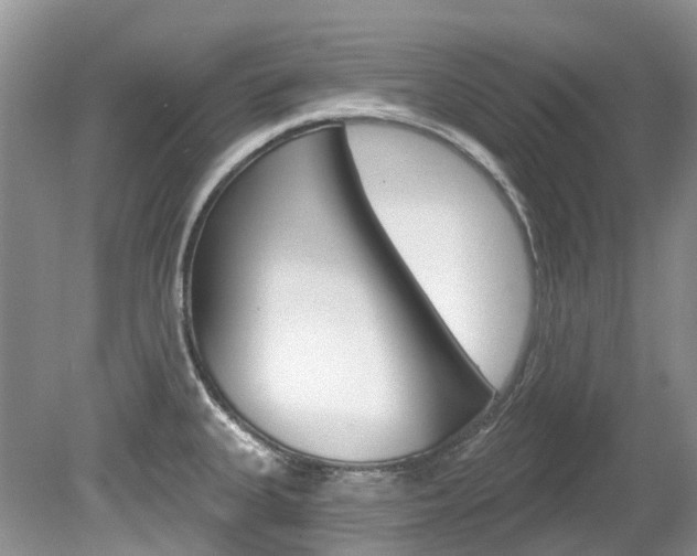 X0000080151335200612081042