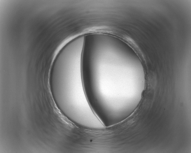 X0000080151336200612081042