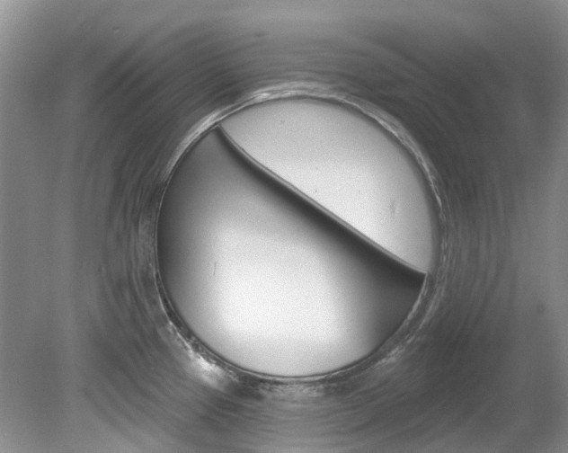X0000080151337200612081042