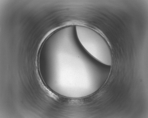 X0000080151339200612081042