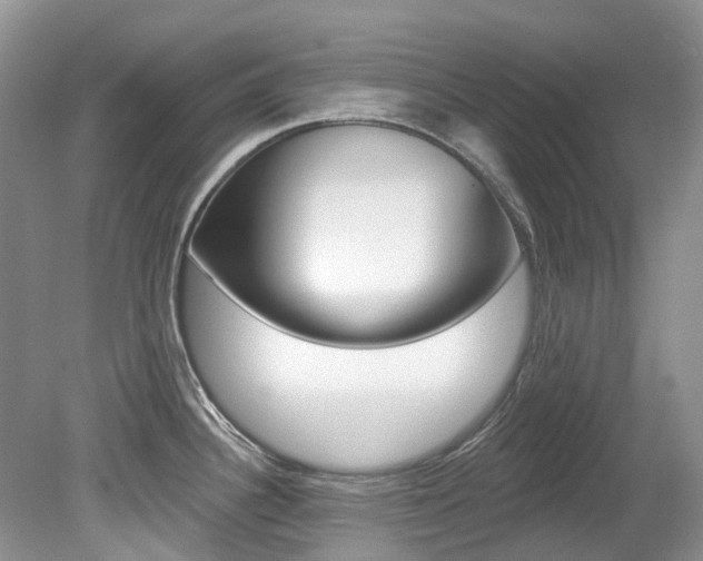 X0000080151340200612081042