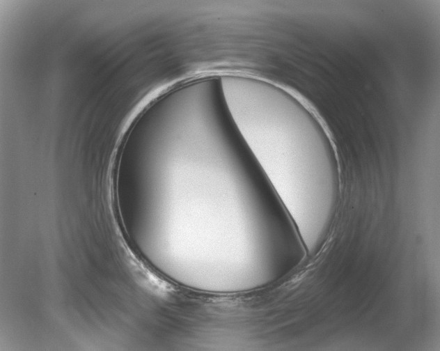 X0000080151341200612081042