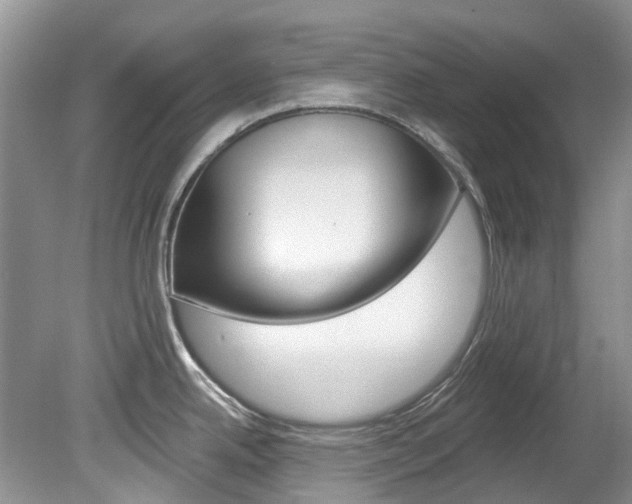 X0000080151342200612081042