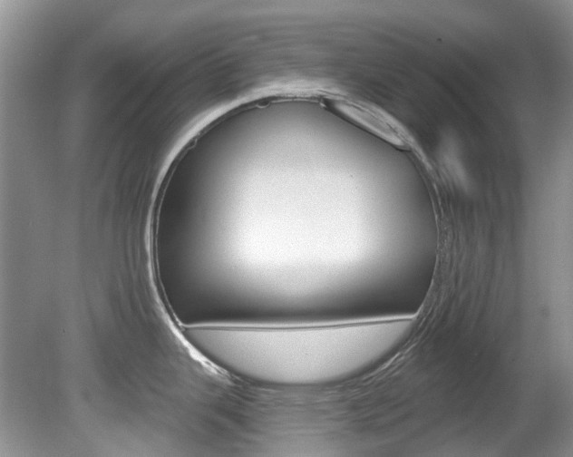 X0000080151343200612081042