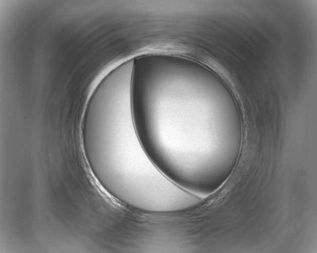 X0000080151344200612081042