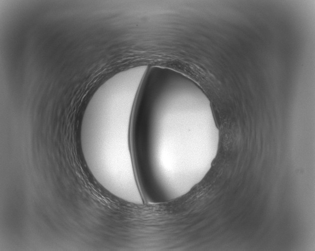 X0000080151345200612081042