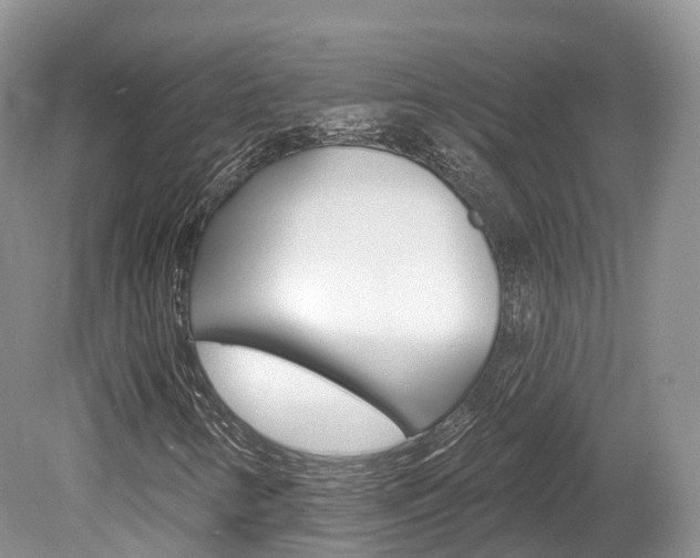 X0000080151346200612081042