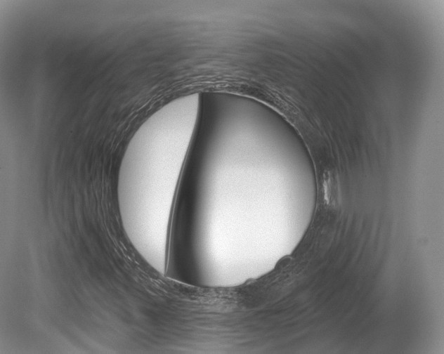 X0000080151347200612081042