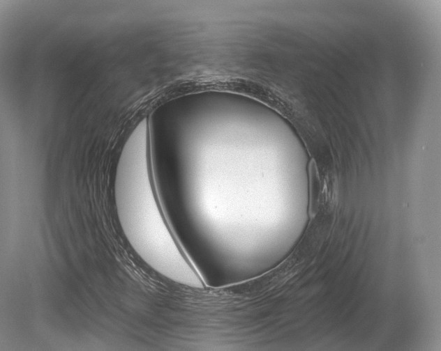 X0000080151348200612081042