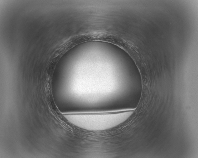 X0000080151349200612081042