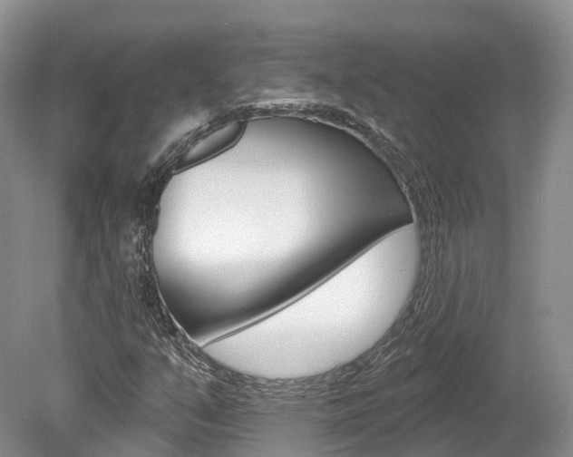 X0000080151351200612081041