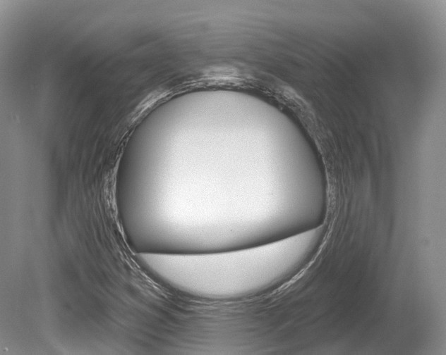 X0000080151353200612081041