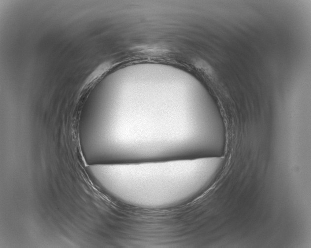 X0000080151354200612081041