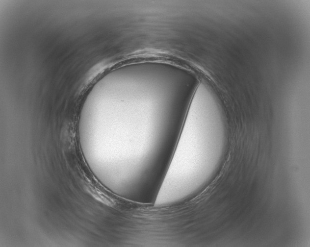 X0000080151355200612081041