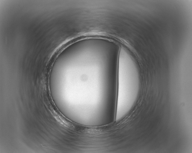 X0000080151356200612081041