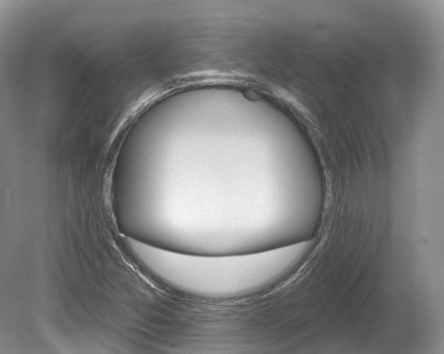 X0000080151357200612081041