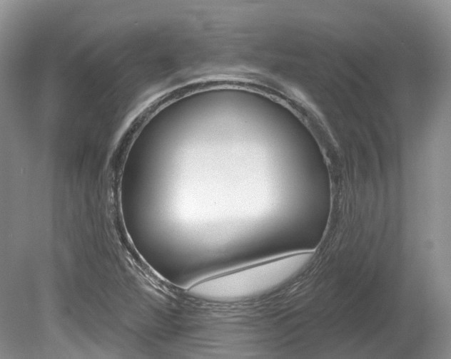 X0000080151360200612081041