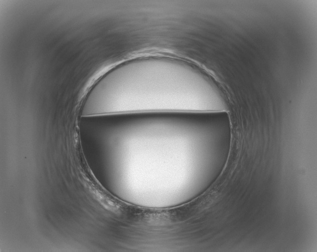 X0000080151363200612081041