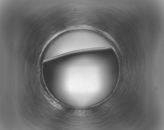 X0000080151364200612081041