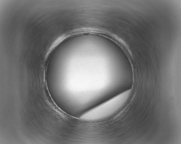 X0000080151365200612081041