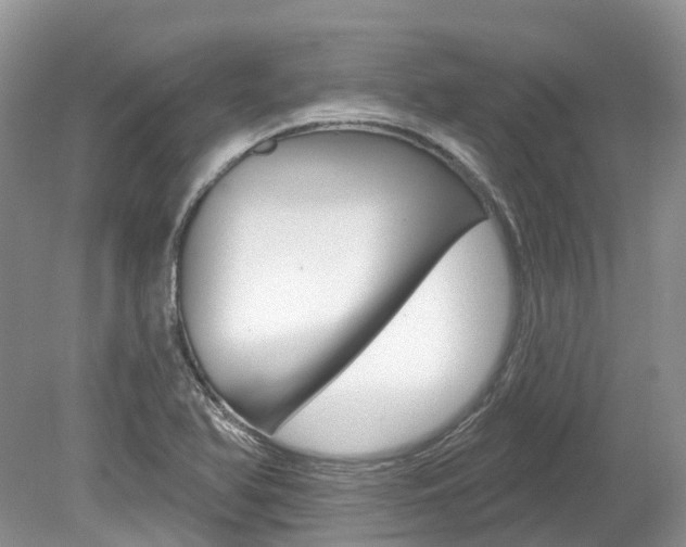 X0000080151366200612081041