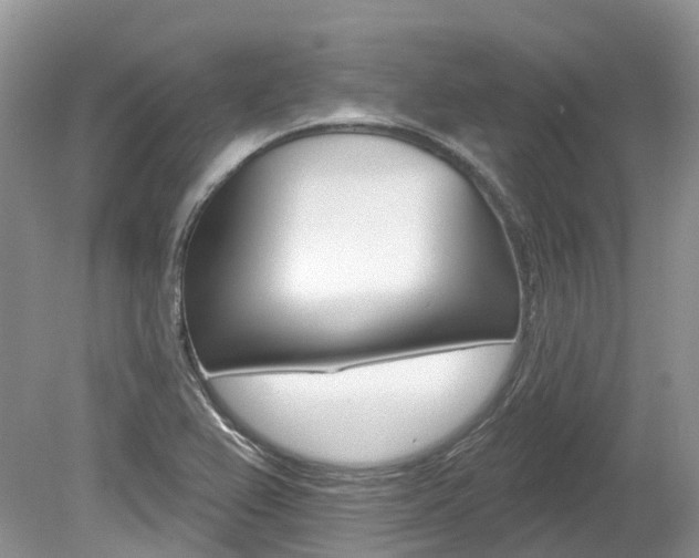 X0000080151367200612081041