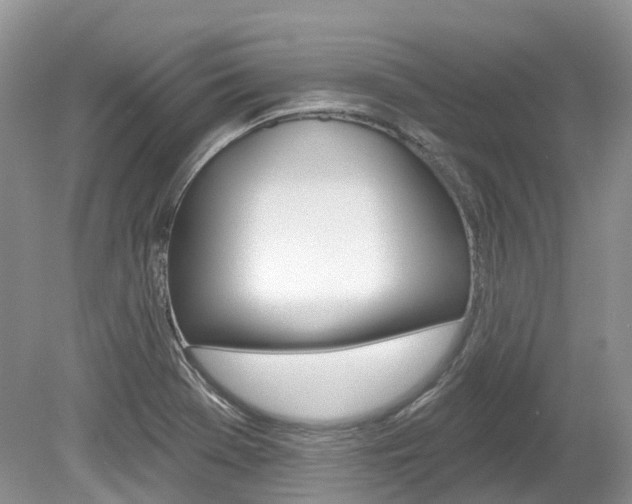 X0000080151369200612081041