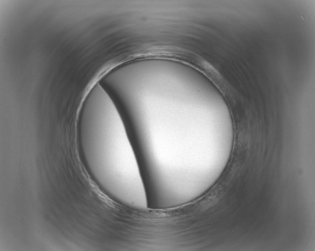 X0000080151370200612081041