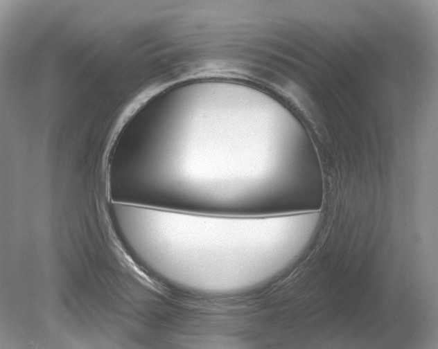 X0000080151371200612081041