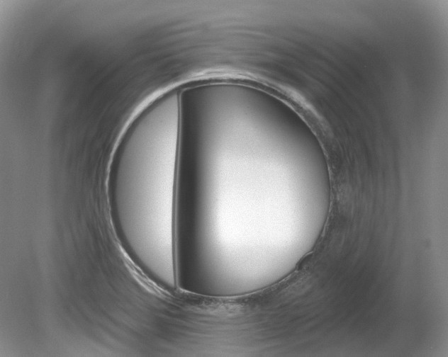 X0000080151372200612081041