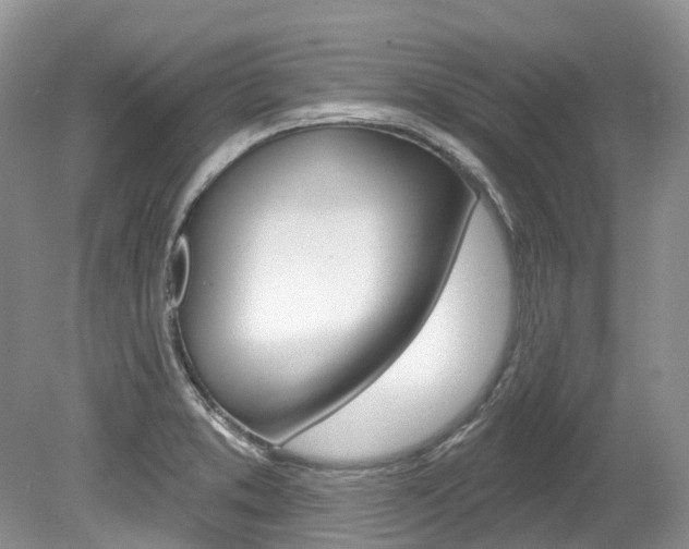 X0000080151373200612081041