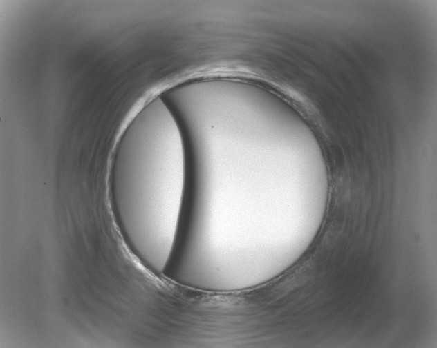 X0000080151374200612081041