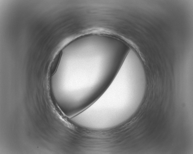X0000080151375200612081041