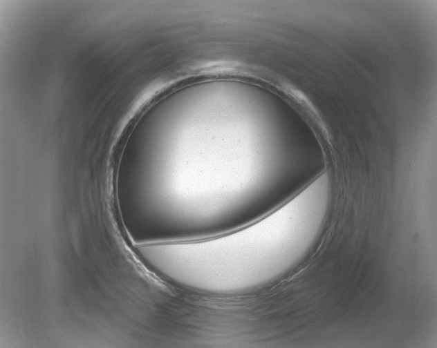X0000080151376200612081041