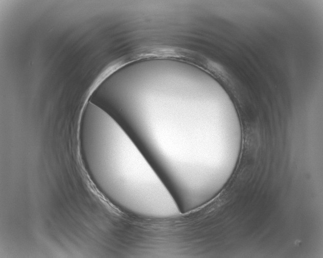 X0000080151378200612081041