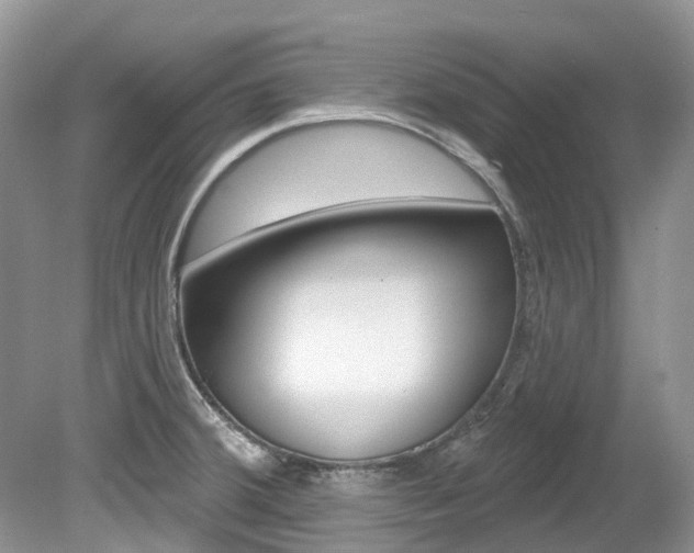 X0000080151380200612081041