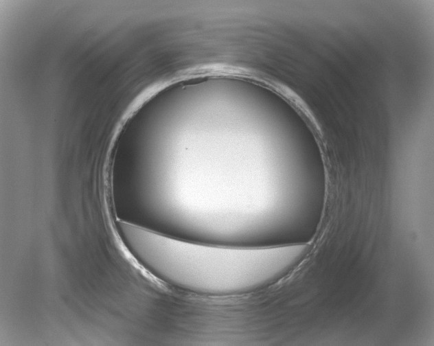 X0000080151381200612081041