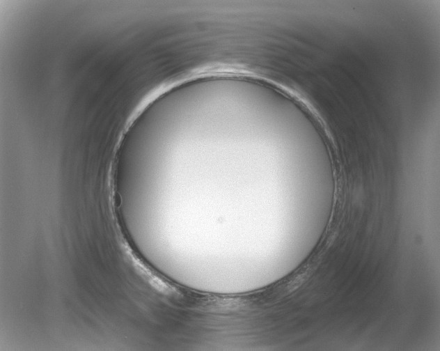 X0000080151382200612081041