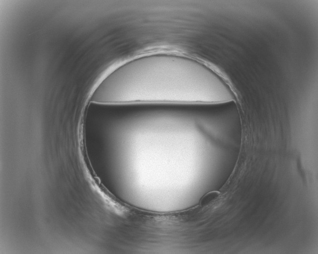 X0000080151383200612081041